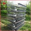 Automatic quail cage with feeding and drinking system